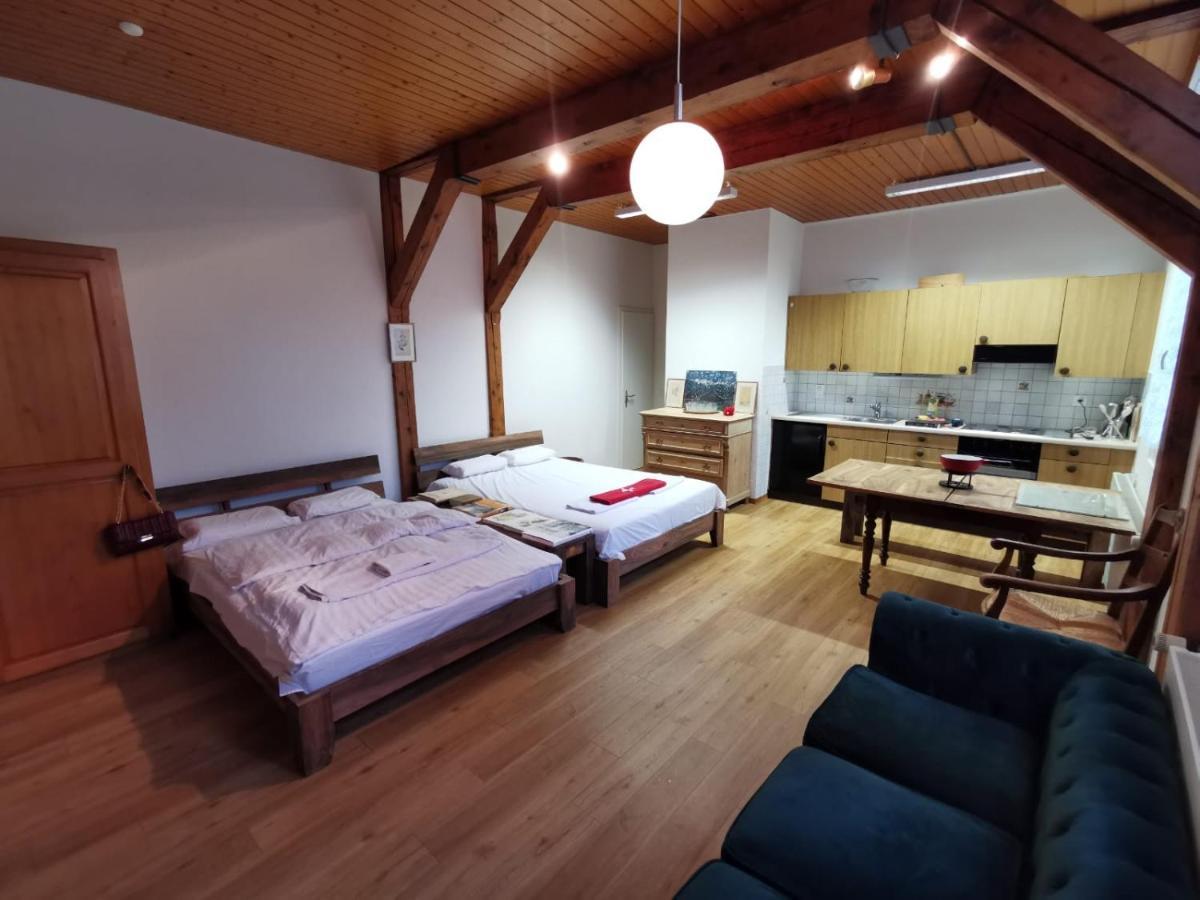 Simple Studio 36M2 In The Center Of Burgdorf Private Parking Small Bathroom Екстериор снимка